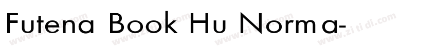 Futena Book Hu Norma字体转换